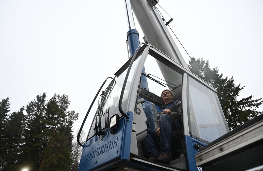 Главную новогоднюю елку России спилили в Подмосковье 23 фото