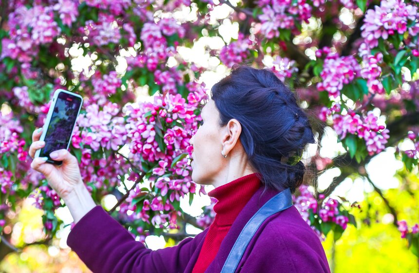 В московских парках расцвели яблони 15 фото