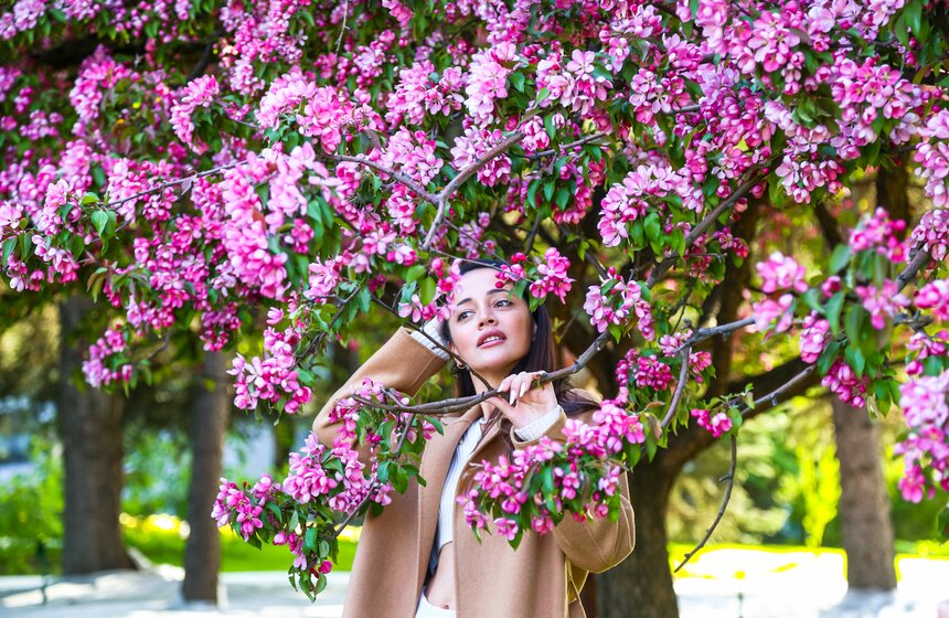 В московских парках расцвели яблони 4 фото