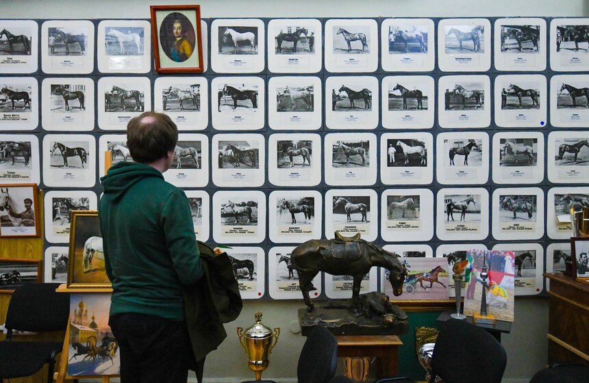 Центральный Московский ипподром провел акцию "День без турникетов" 17 фото