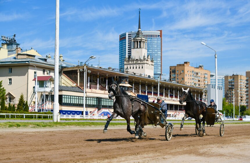 Центральный Московский ипподром провел акцию "День без турникетов" 9 фото