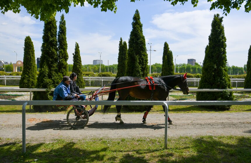 Центральный Московский ипподром провел акцию "День без турникетов" 20 фото