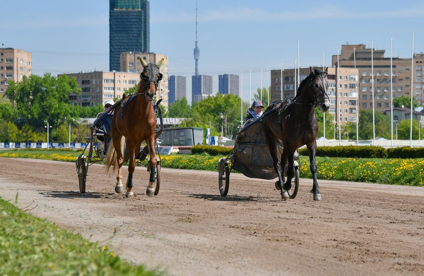 Центральный Московский ипподром провел акцию "День без турникетов" 7 фото