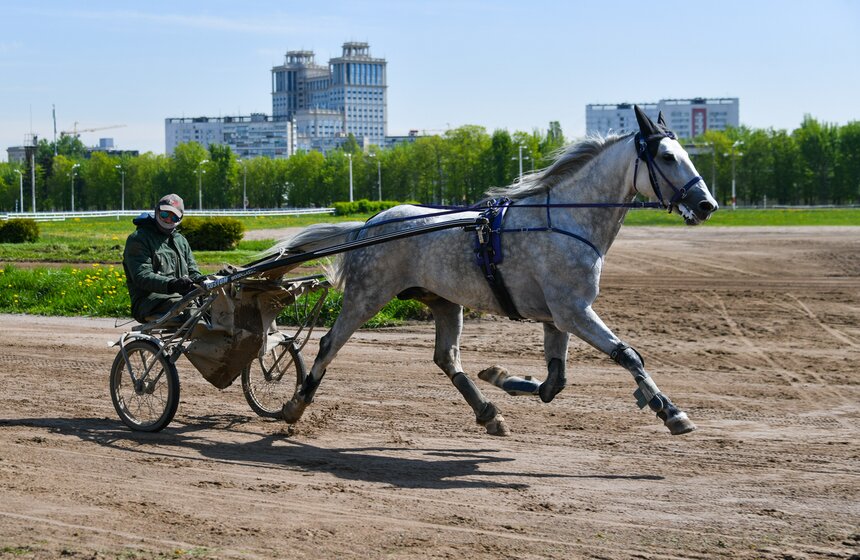 Центральный Московский ипподром провел акцию "День без турникетов" 6 фото