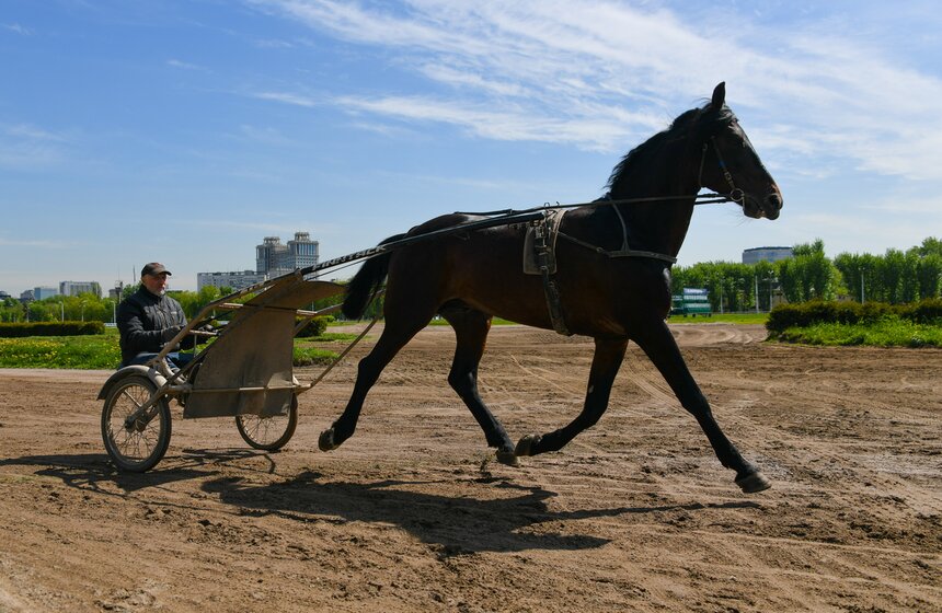 Центральный Московский ипподром провел акцию "День без турникетов" 8 фото