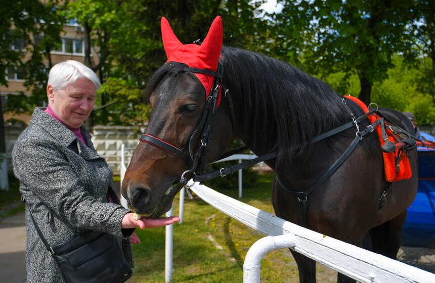 Центральный Московский ипподром провел акцию "День без турникетов" 21 фото