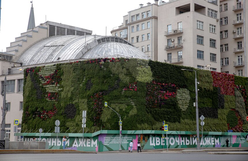 Стену из растений высадили у кинотеатра "Ударник" во время фестиваля "Цветочный джем" 12 фото