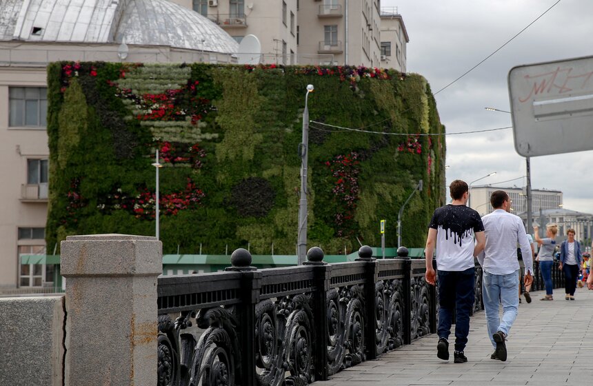 Стену из растений высадили у кинотеатра "Ударник" во время фестиваля "Цветочный джем" 10 фото