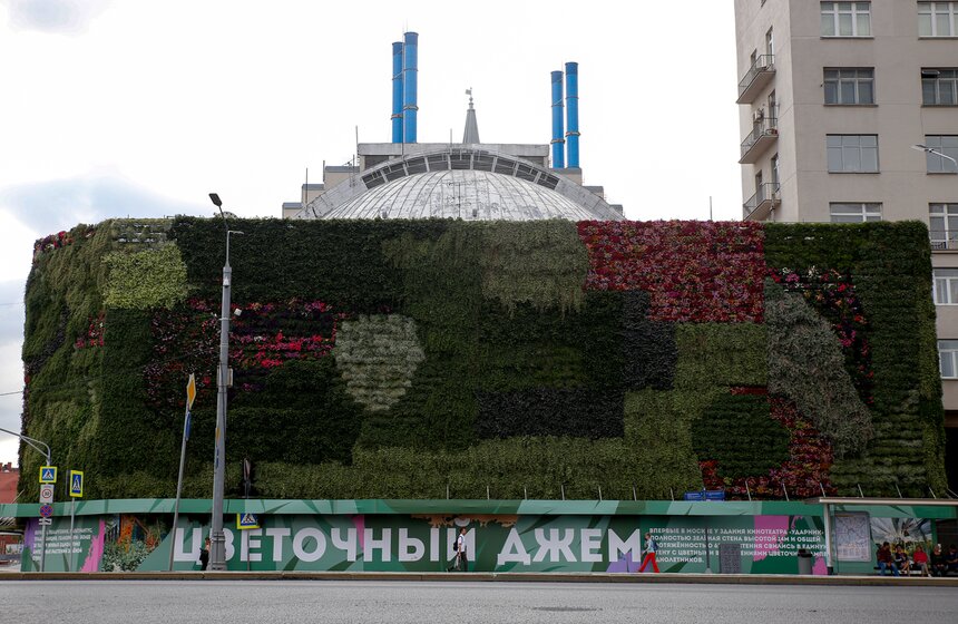 Стену из растений высадили у кинотеатра "Ударник" во время фестиваля "Цветочный джем" 1 фото