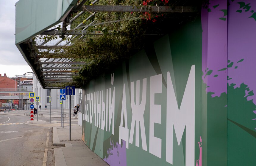 Стену из растений высадили у кинотеатра "Ударник" во время фестиваля "Цветочный джем" 3 фото