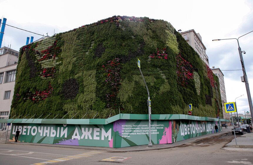 Стену из растений высадили у кинотеатра "Ударник" во время фестиваля "Цветочный джем" 2 фото