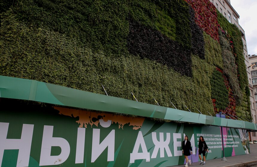 Стену из растений высадили у кинотеатра "Ударник" во время фестиваля "Цветочный джем" 5 фото