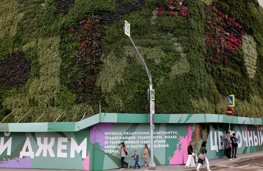 Стену из растений высадили у кинотеатра "Ударник" во время фестиваля "Цветочный джем" 4 фото