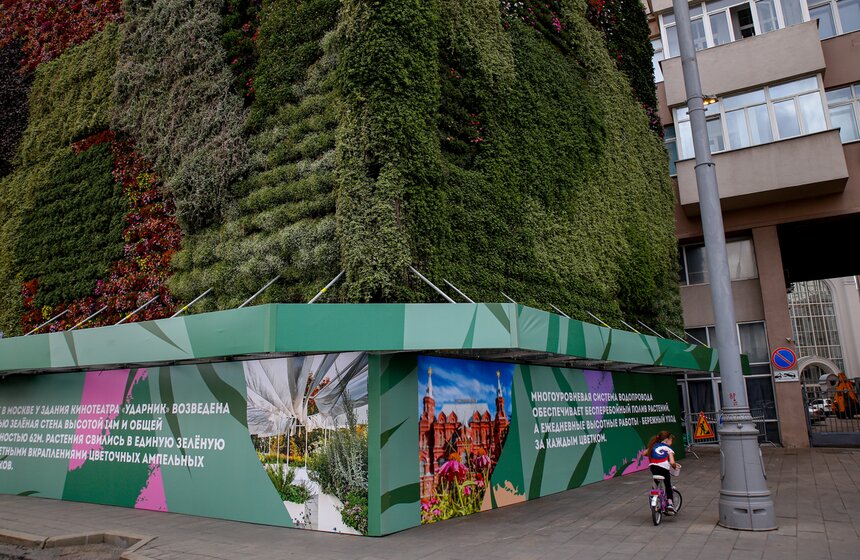 Стену из растений высадили у кинотеатра "Ударник" во время фестиваля "Цветочный джем" 9 фото