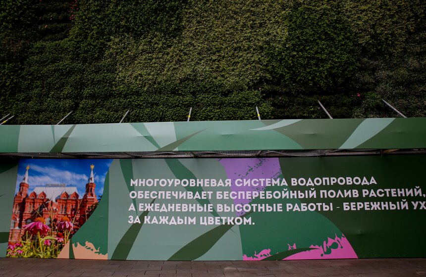 Стену из растений высадили у кинотеатра "Ударник" во время фестиваля "Цветочный джем" 7 фото