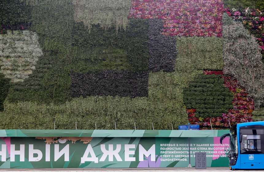 Стену из растений высадили у кинотеатра "Ударник" во время фестиваля "Цветочный джем" 11 фото