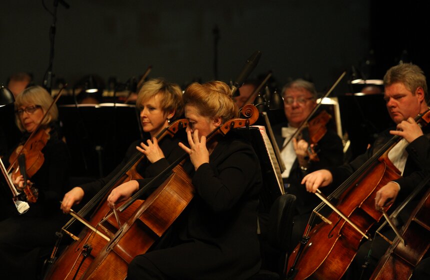 Концерт к 450-летию со дня рождения Шекспира прошел в Москве 14 фото