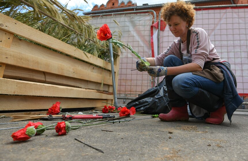 Поле с пшеницей и маками появилось в центре Москвы 4 фото