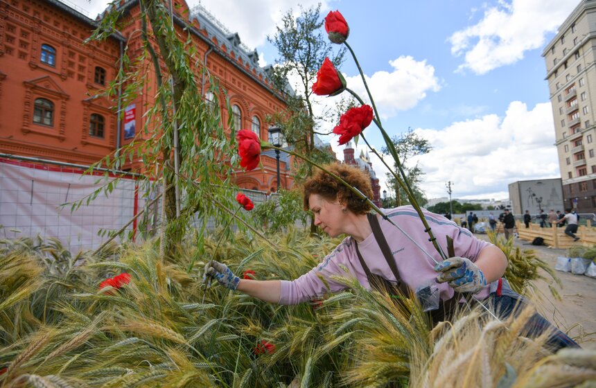 Поле с пшеницей и маками появилось в центре Москвы 8 фото