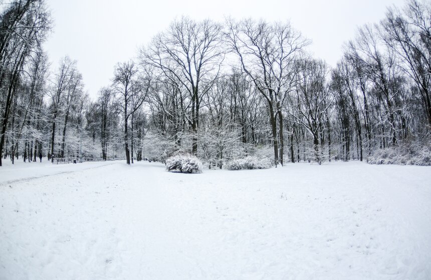 В Москве прошел первый в сезоне снегопад 4 фото