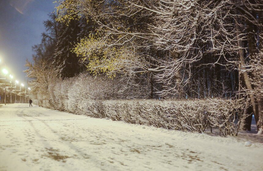 В Москве прошел первый в сезоне снегопад 23 фото