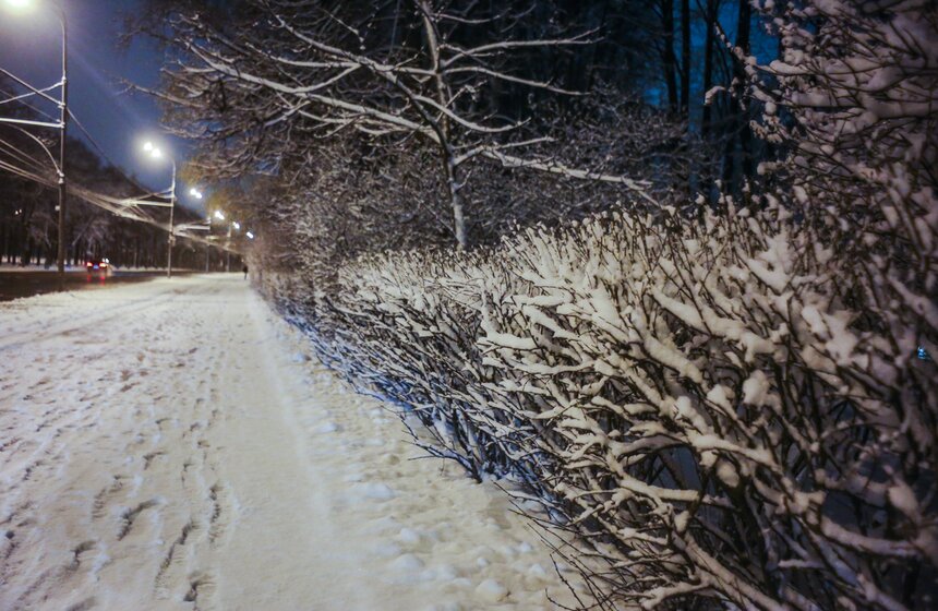 В Москве прошел первый в сезоне снегопад 27 фото