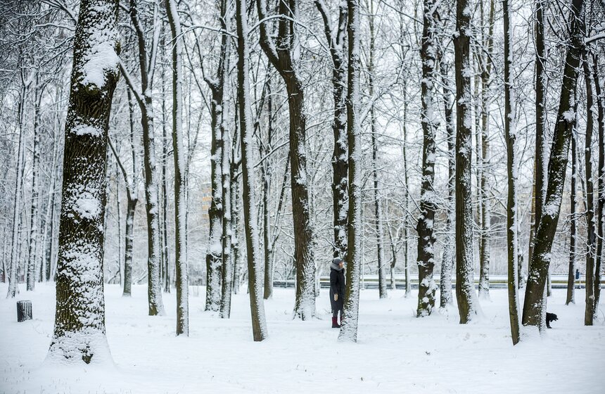В Москве прошел первый в сезоне снегопад 15 фото