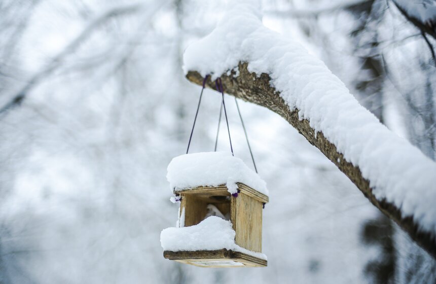 В Москве прошел первый в сезоне снегопад 13 фото