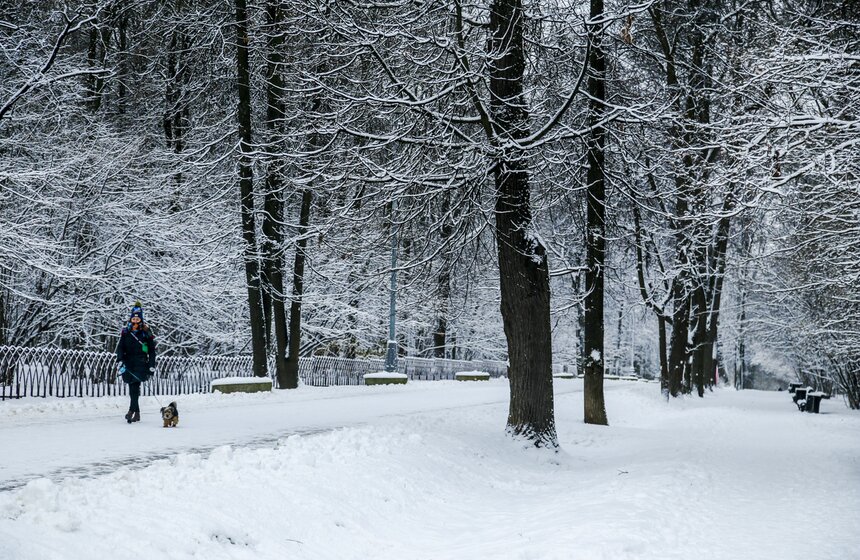 В Москве прошел первый в сезоне снегопад 2 фото