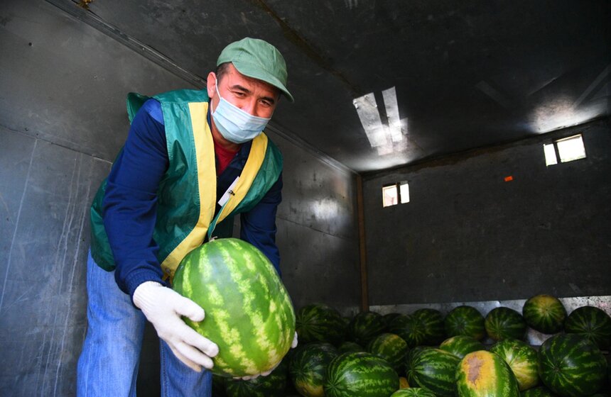 В Москве 3 августа открылись бахчевые развалы. Приобрести арбузы и дыни можно в 240 точках. Плоды поставляются в столицу из Краснодарского края, Астраханской, Ростовской и Волгоградской областей, из Дагестана, а также из соседних государств<br />https://www.m24.ru/galleries/gorod/03082020/8718