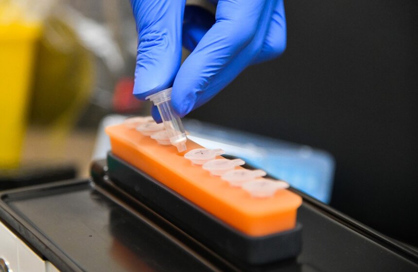 В Шереметьеве стало возможно сдать экспресс-тест на коронавирус. Анализ стоит 2750 рублей, а результаты будут известны в течение часа. По итогам тестирования будут выдаваться справки на русском и английском языках<br />https://www.m24.ru/galleries/gorod/22072020/8707