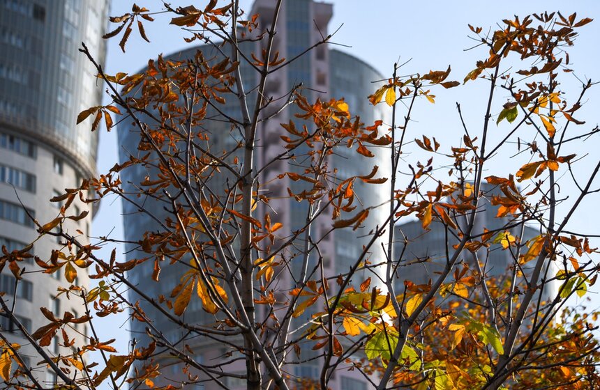 Октябрь в этом году может стать рекордно теплым. Средние показатели температуры в этом месяце находятся на уровне чуть выше 12 градусов. Это почти на пять градусов больше обычных для этой поры значений<br />https://www.m24.ru/galleries/gorod/18102020/8866