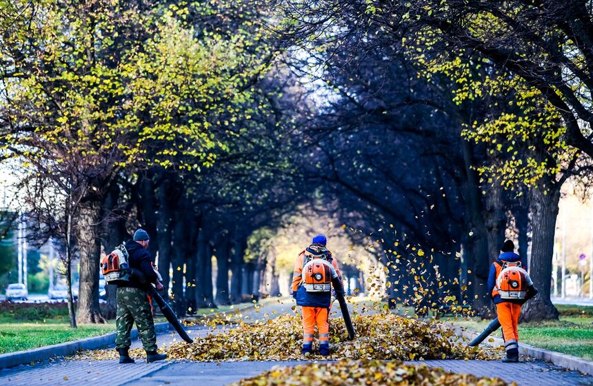 Коммунальные службы приступили к уборке осенней листвы. Уборка листьев проводится для очищения городских пространств. Они мешают движению машин и пешеходов, поскольку улицы становятся грязными из-за смеси листьев, пыли и воды<br />https://www.m24.ru/galleries/obshchestvo/21102020/8874