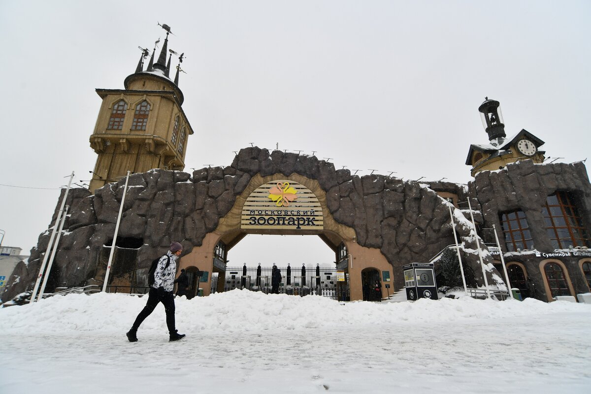 Московский зоопарк зима 2022