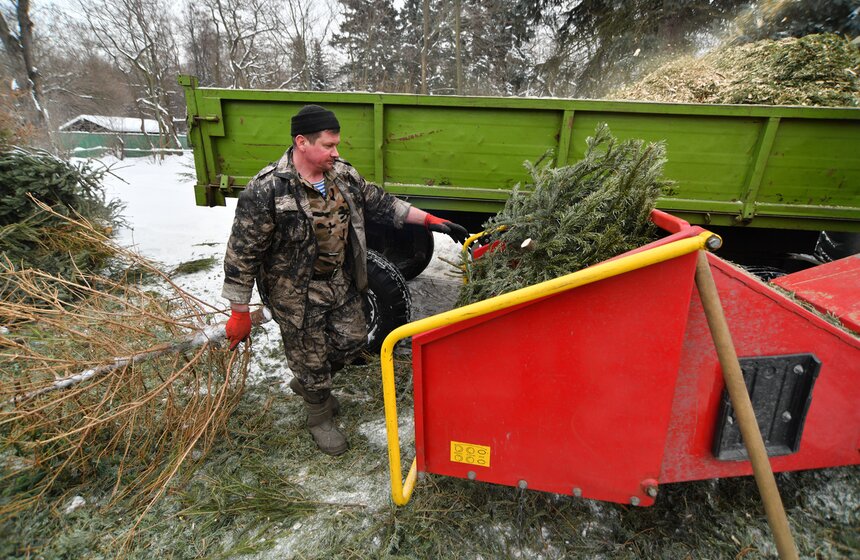 В Москве проходит экологическая акция "Елочный круговорот" 3 фото