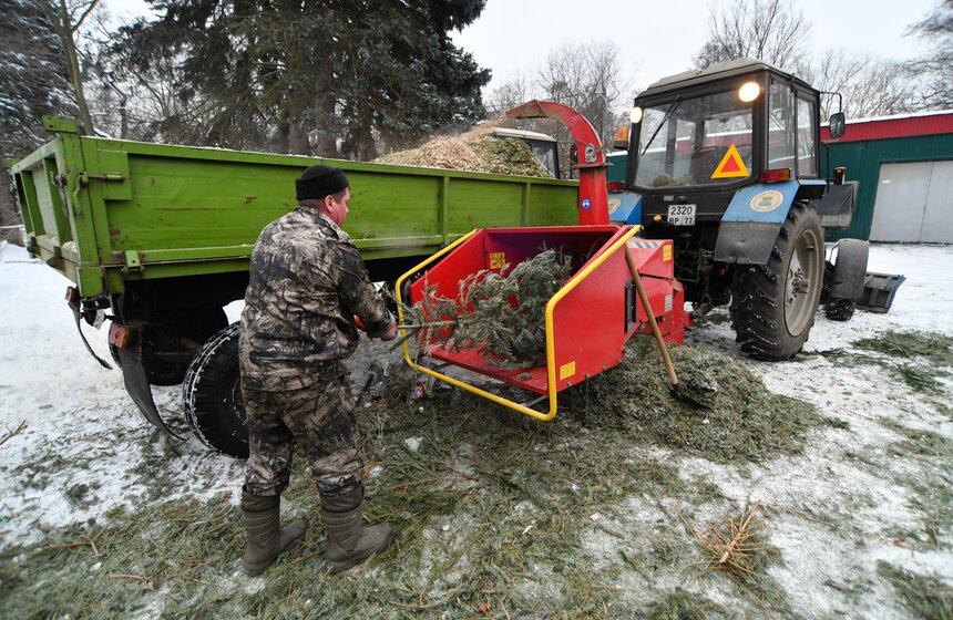 В Москве проходит экологическая акция "Елочный круговорот" 4 фото