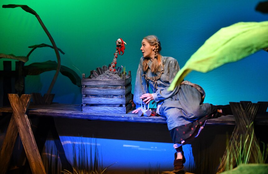 В Театре кукол Сергея Образцова показали спектакль "Гадкий утенок" 14 фото