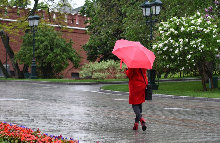 Городские парки с 1 июня открылись для прогулок и индивидуальных занятий спортом. Горожан просят отказаться от использования лавочек, беседок, детских и спортивных площадок и других объектов парковой инфраструктуры<br />https://www.m24.ru/galleries/gorod/01062020/8654