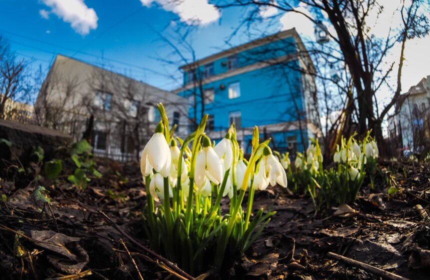 Погода в Москве побила четвертый подряд температурный рекорд. 21 февраля на базовой столичной метеостанции на ВДНХ воздух прогрелся до +6,3 градуса. Это самое высокое значение для этого дня за 44 года. В городе уже началось цветение подснежников<br />https://www.m24.ru/galleries/gorod/21022020/8543
