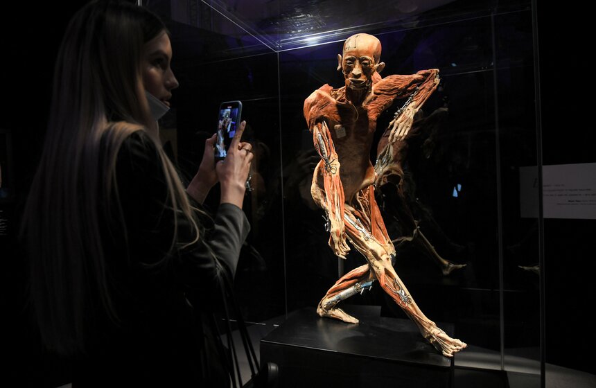 Анатомическая выставка BODY WORLDS открылась на ВДНХ 15 фото