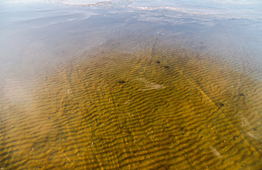 За одну безветренную холодную ночь  может образоваться прочный однородный ледяной покров