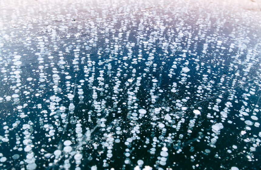 Эти ледяные "кружочки" на самом деле - пузырьки газа. На дне живут растения, которые дышат, газ поднимается к поверхности и включается в структуру льда