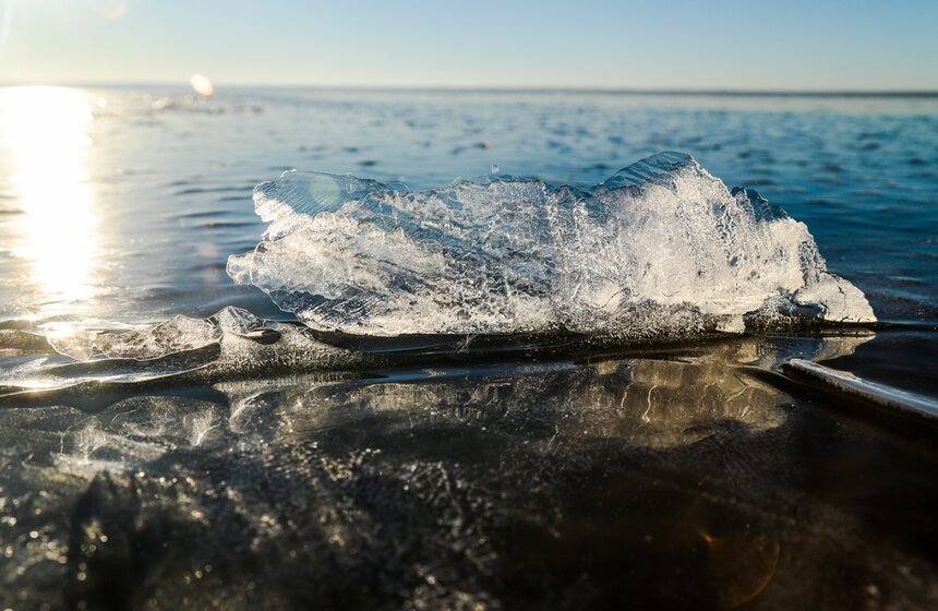 А может быть из глубин озера ненадолго вынырнула древняя кистеперая рыба