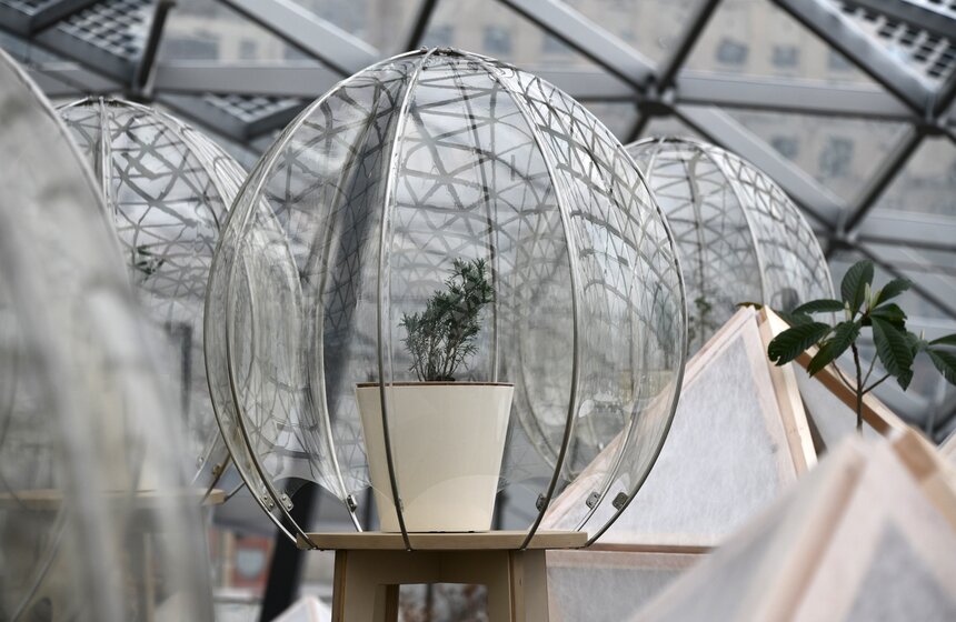 "Зарядье" и Никитский ботанический сад запустили новый проект ParkLab 1 фото