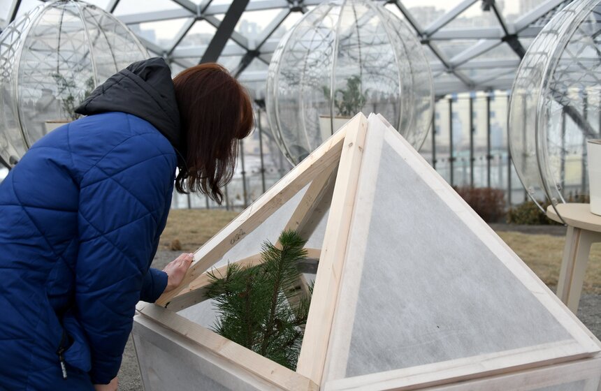 "Зарядье" и Никитский ботанический сад запустили новый проект ParkLab 14 фото