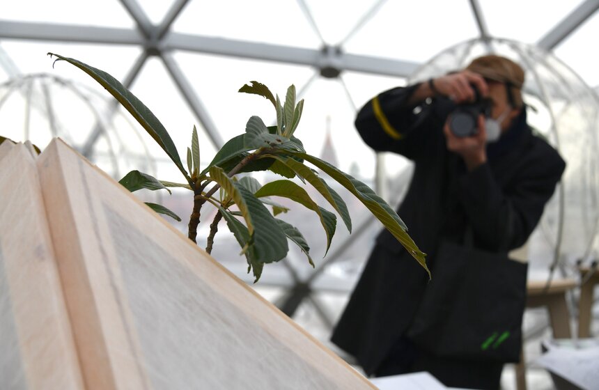 "Зарядье" и Никитский ботанический сад запустили новый проект ParkLab 3 фото