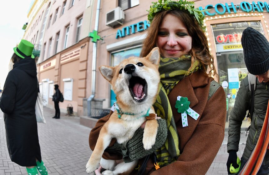 Парад ко Дню святого Патрика прошел в Москве 22 фото