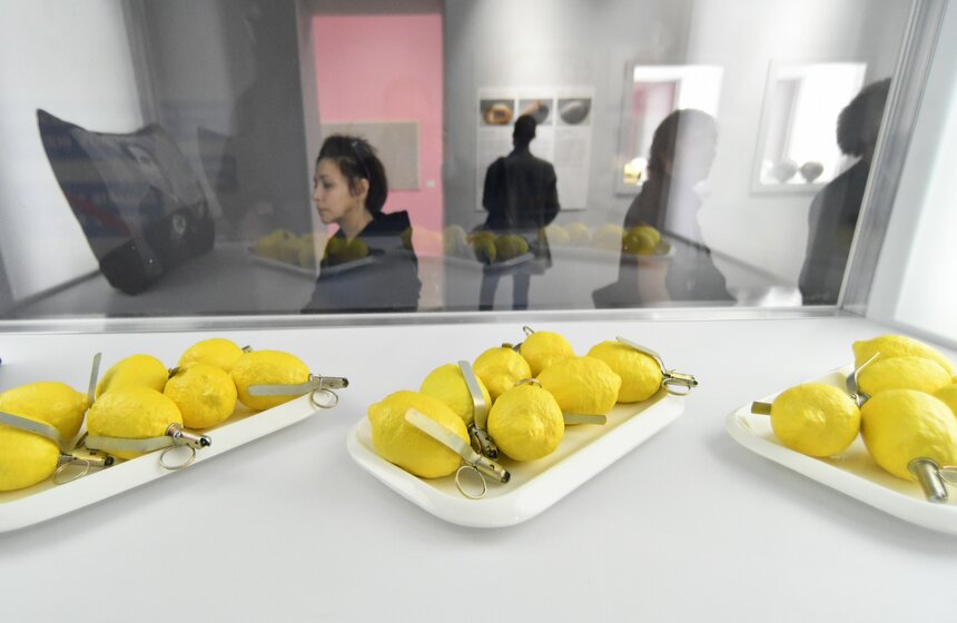 Выставку "Оптика Цеслера" представили в Москве 1 фото