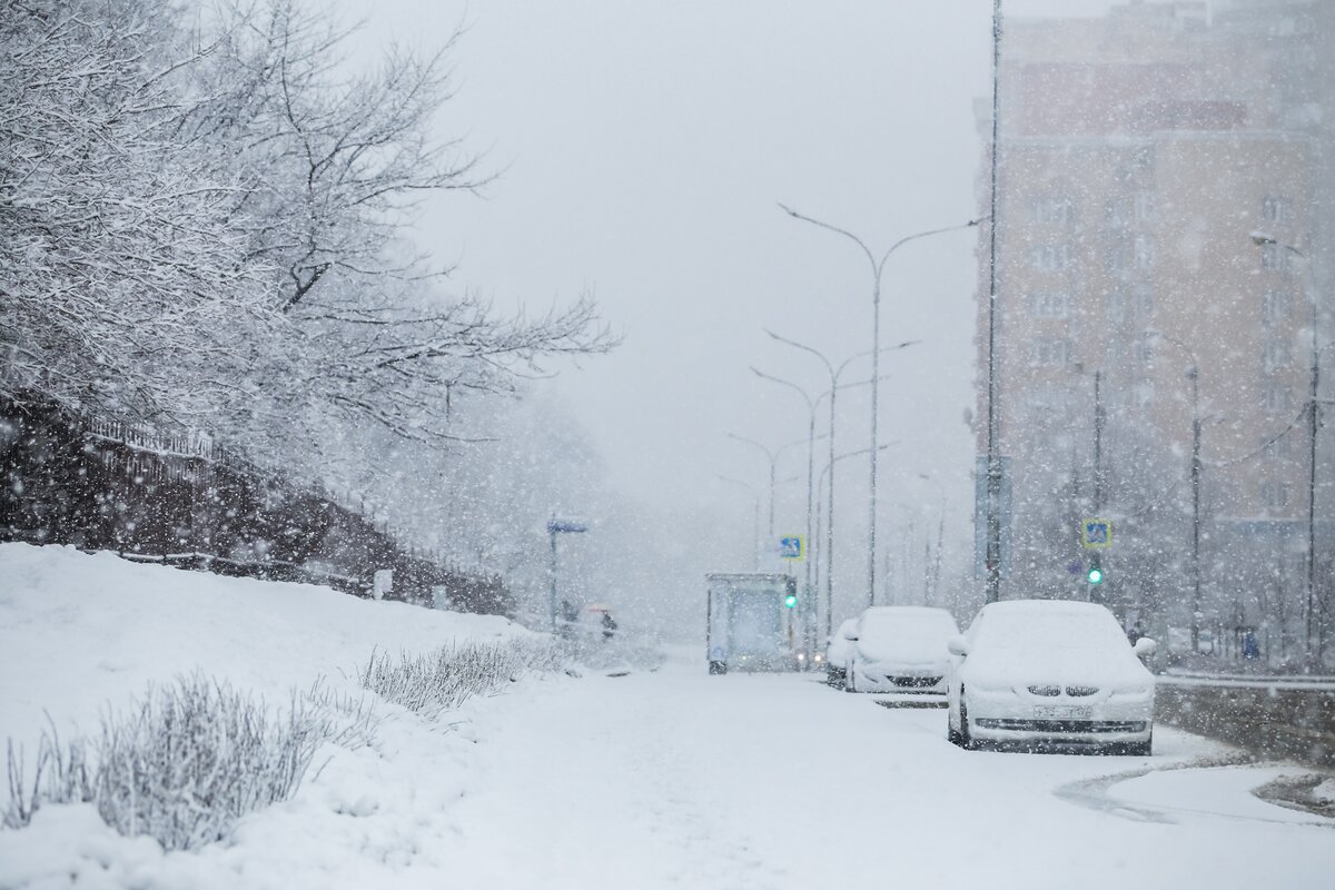 Сегодня сильный снег. Сильный снегопад в Москве. Снегопад в Москве сейчас видео в реальном времени. Сильный снегопад в Домодедово фото.