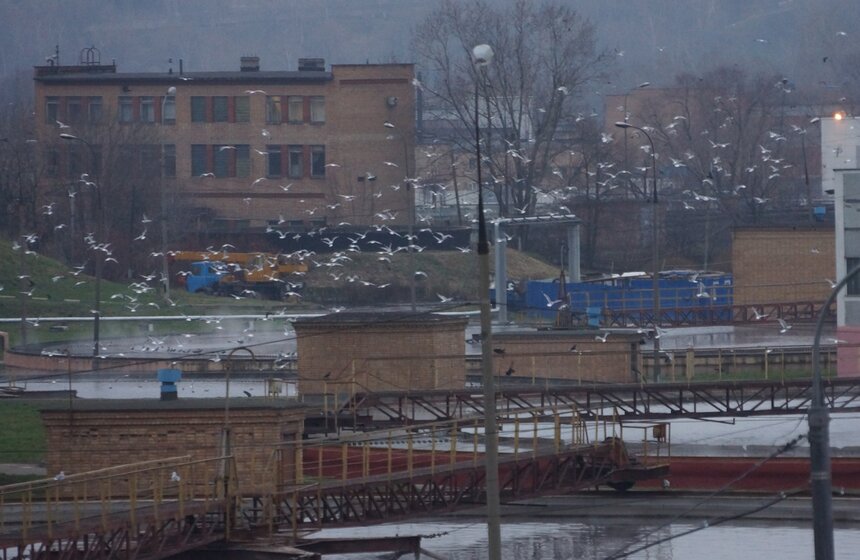 Сергей Собянин посетил Курьяновские очистные сооружения 2 фото